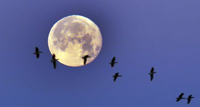 Wolf Moon: What is the January 2025 full moon and when can I see it?