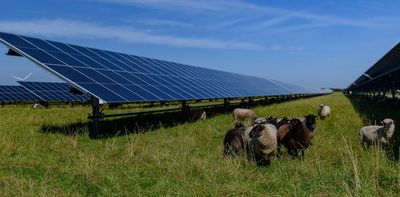 How farmers can use solar power without damaging the rest of their operation