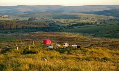 Wild camping on Dartmoor not a significant fire risk, research shows