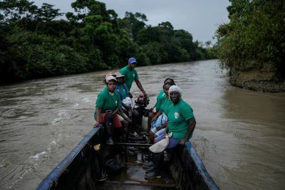 Afro-Colombians fight the effects of gold mining through biodiversity projects in a violent region