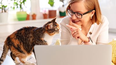 Do you love pets and writing? PetsRadar may have your ideal job...
