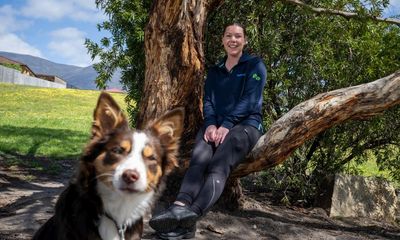 Pets are often used against domestic violence victims – but new Australian laws could change that