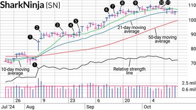 SharkNinja Stock: A Swing Trade Worth Holding