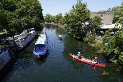 ‘Dozens’ of swans found dead in London canal with Defra investigation launched