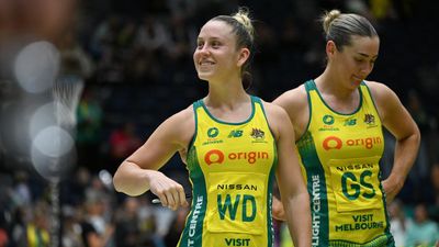 Diamonds netball star offering more than physicality