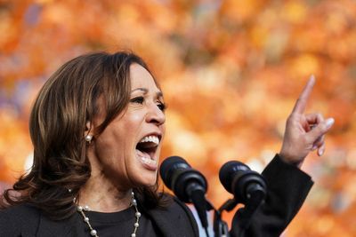 Harris is turning to video games and sports betting to try and win back some of the ‘bro’ vote from Trump