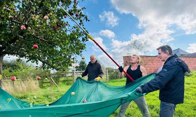 Country diary: The alchemical wonder of turning apples into juice