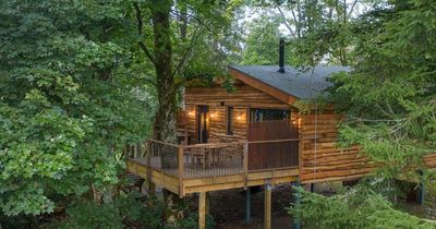 'Off the grid' getaway in Scotland dubbed one of Britain's best treetop hotels