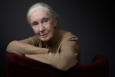 Jane Goodall Warns On 'False Promises' At UN Biodiversity Meet