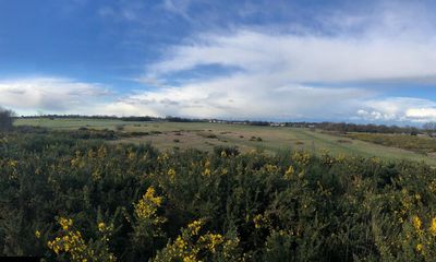 Sale of Essex acid grassland for homes would set ‘catastrophic precedent’