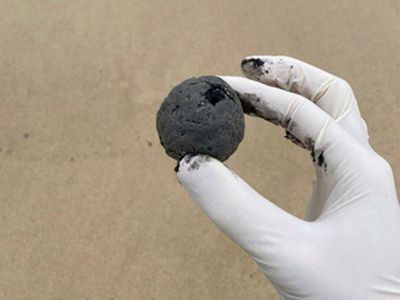 Sydney beaches reopen days after hundreds of tar balls wash ashore