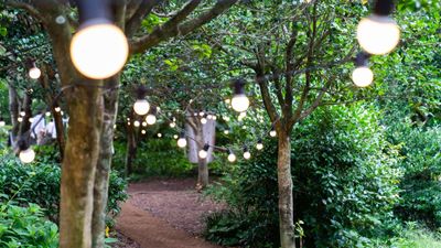 Can you light a garden path with solar lights? Electrical experts reveal 3 reasons why it's a bad idea – and what to do instead