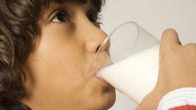 Why does dairy make antibiotics less effective?