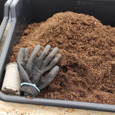 Experts reveal the 5 things you should never put in your compost bin - and you're probably guilty of a few