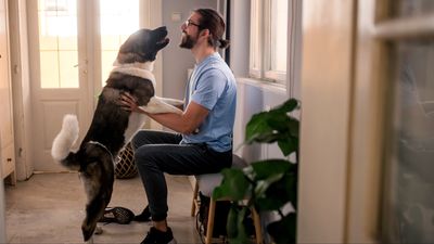 ​​Here’s how to stop your dog from jumping on you when you sit down, according to one trainer