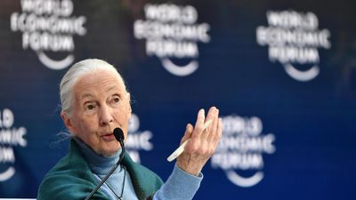 Zoologist Jane Goodall warns: ‘The world is a mess’ ahead of COP16