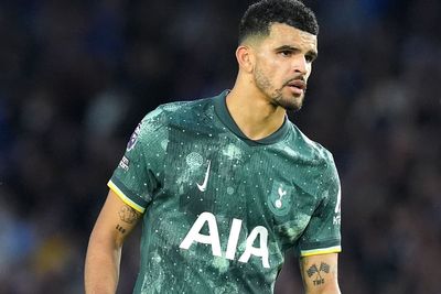 Dominic Solanke wants Tottenham to maintain their standards after West Ham rout