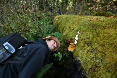 Fungi Finding: Mushroom Hunters Seek New Species And Recognition