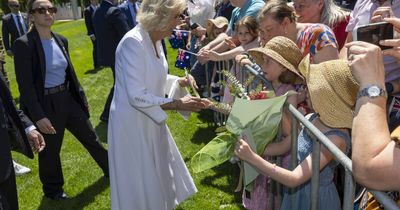 An alpaca, Tim-Tams and a cuddly kangaroo for the King and Queen of Australia