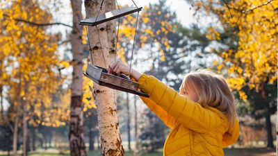8 clever ways to hang a bird feeder, even if you don’t have a tree