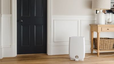 5 ways to dry out a room without a dehumidifier — and reduce dampness