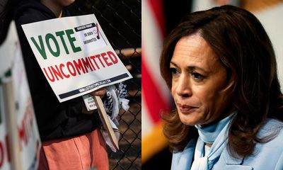 Progressives must walk a fine line: end the war in Gaza and elect Harris