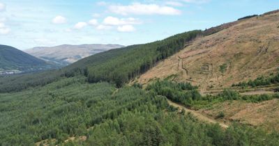 Picturesque Scottish forest with 'historical' gold mine up for sale