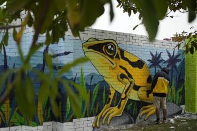 Global Leaders Meet In Colombia To Address Biodiversity Crisis