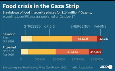 How Much Aid Is Getting Into Gaza?