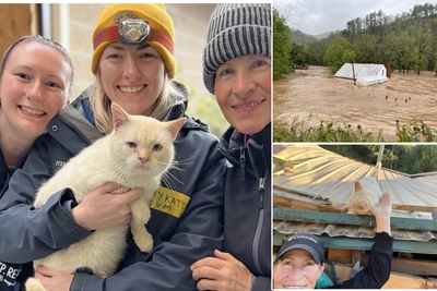 They Watched Helplessly As Their Pet Cat Was Swept Away by Hurricane Floodwaters. When They Returned Home He Was Waiting by the Door