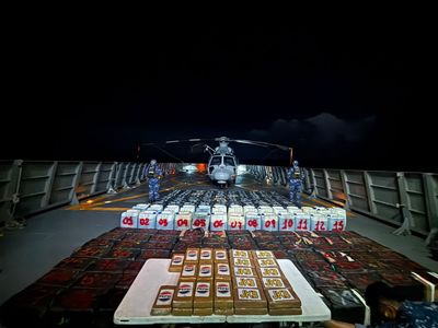 Mexican Navy Seizes More than Eight Tons of Drug Off Michoacan's Coast in Record Operation