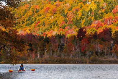 The colors of the world are changing as climate change is morphing nature’s most beautiful sights