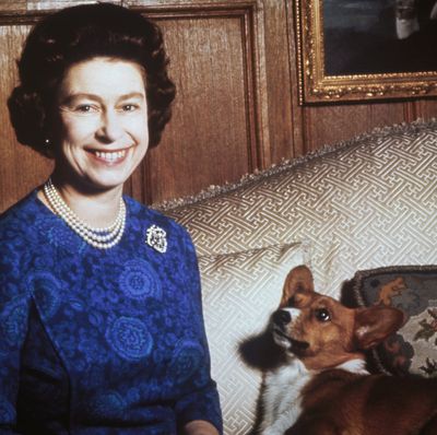 Queen Elizabeth Had Only One Sure-Fire Way to Get Her Corgis to "Shut Up"