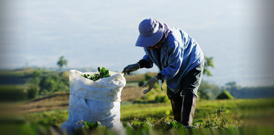 Promoted as a win-win, Australia’s Pacific island guest worker scheme is putting those workers at risk