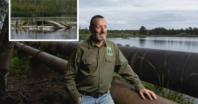 Welcome to turtle island, a Hunter refuge for nesting animals