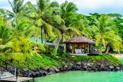 Chef Monica Galetti's guide to Samoa: the best poke, where to stay on the beach, and the perfect swimming spot