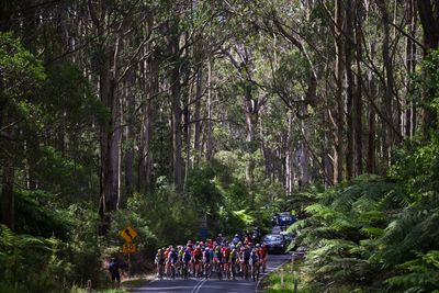 Women’s Surf Coast Classic confirmed as add in to Cadel Evans Great Ocean road race lead-in for 2025