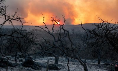 The Colour of Extinction by SC Flynn review – into the darkness… or the light?