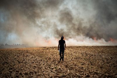 Climate despair has never been higher