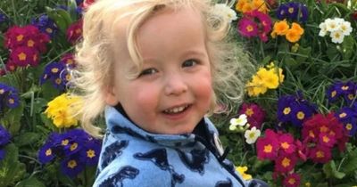 Scottish judge calls for compulsory tests for elderly drivers after death of toddler