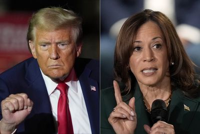 US election: 14 days left — What polls say, what Harris and Trump are up to