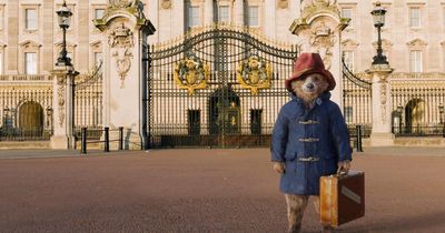 'Pure cringe': Home Office slated over passport for Paddington