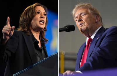 US election 2024: Seven battleground states that will decide whether Harris or Trump wins