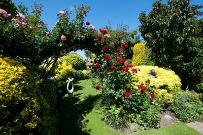 RHS: Sell houses with ‘garden performance certificate’ to help health and nature