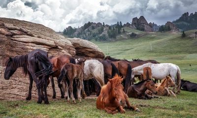 The ride of our lives: why the horse is crucial to human history