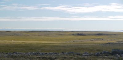 The Canadian Arctic shows how understanding the effects of climate change requires long-term vision