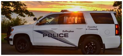 Pet-Sitter Stole Dog and Dyed It Green, Then Told Owner It Ran Away and Sold It: Police