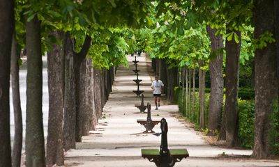 Urban green spaces have vital role in cutting heat-related deaths, study finds