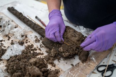 ‘Unique’ Bronze Age wooden spade found during wetlands creation project