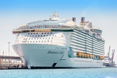 Royal Caribbean sued over hidden camera in cabin toilet which worker used to film children